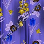 Colour:F
