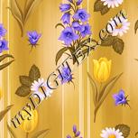 Colour:J