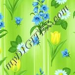 Colour:K