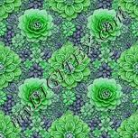 Colour:C