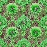 Colour:D