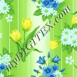 Colour:K