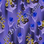 Colour:F