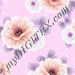 Colour:B
