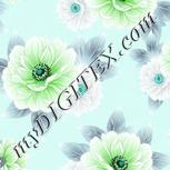 Colour:C