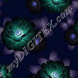 Colour:F