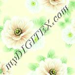 Colour:K