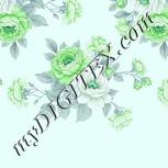 Colour:C
