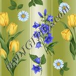 Colour:A