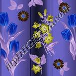 Colour:F