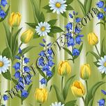 Colour:A
