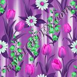 Colour:B