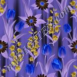 Colour:F