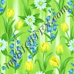 Colour:K