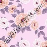 Colour:B