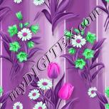 Colour:B
