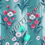 Colour:C