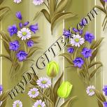Colour:D