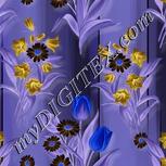 Colour:F