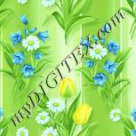 Colour:K