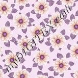 Colour:B