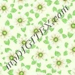 Colour:K