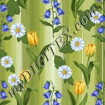 Colour:A