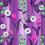 Colour:B