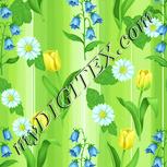 Colour:K
