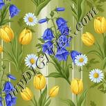 Colour:A