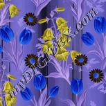 Colour:F