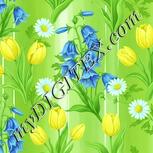 Colour:K