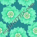Colour:K