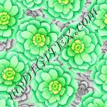 Colour:D