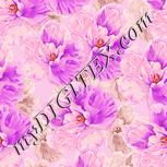 Colour:J