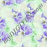 Colour:K