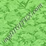 Colour:K