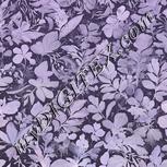 Colour:F