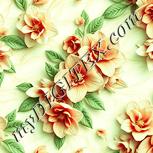 Colour:K