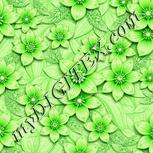 Colour:D
