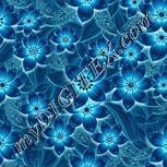 Colour:F