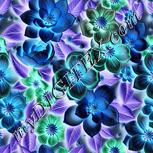 Colour:F