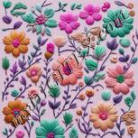 Colour:B