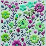 Colour:C
