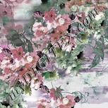 Colour:B