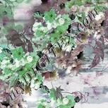 Colour:C