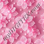 Colour:B