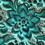 Colour:F