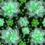 Colour:C