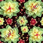 Colour:K